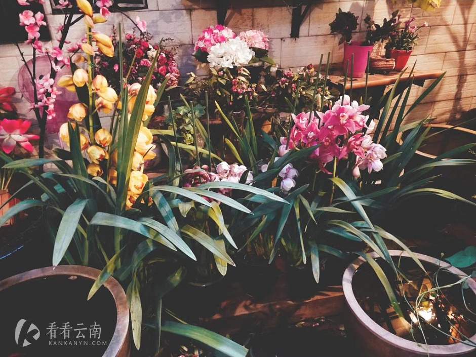 今日云南 | 大理幸涵的土罐