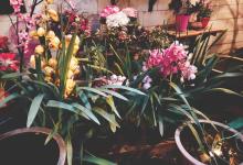 今日云南 | 大理幸涵的土罐-看看云南