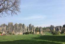 今日云南|石林风景区-看看云南