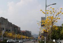 今日云南 | 普洱主城街道-看看云南