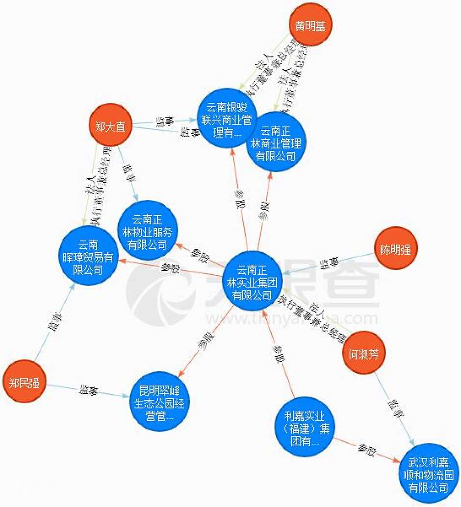 云南正林集团企业关系