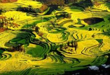 曲靖市长意外走红后，才发现曲靖原来这么美！-看看云南