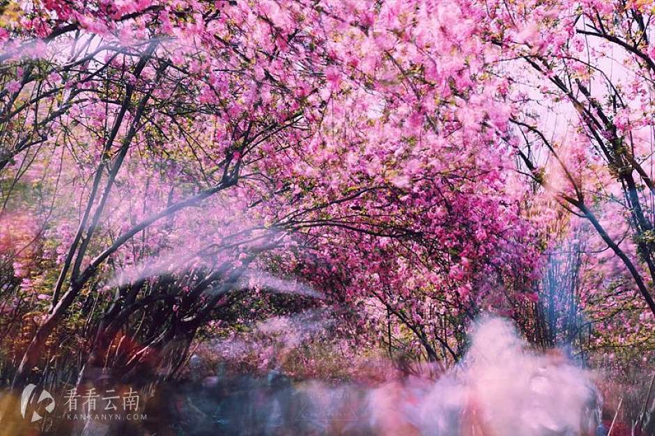 今日云南 | 圆通山