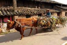 今日云南 | 曲靖潦浒村-看看云南