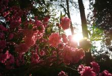 今日云南 | 昆明西山-看看云南