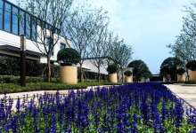 万科·翡翠再获3宗零星整合用地 单价约1036万元/亩-看看云南