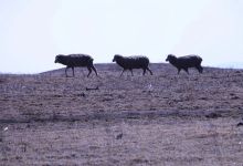 今日云南 | 昭通鲁甸-看看云南