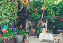 今日云南 | 大理幸涵家的土罐-看看云南