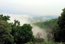 今日云南 | 勐海晨雾-看看云南