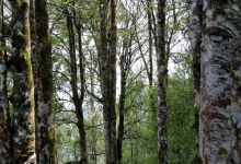 今日云南 | 文山寻野-看看云南