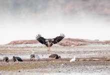 今日云南|昭通大山包-看看云南