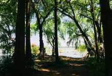 今日云南 | 滇池捞鱼河湿地-看看云南