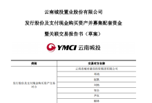 云南城投披露重大资产重组草案 地产版图继续扩大-看看云南