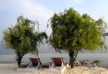 今日云南 | 玉溪澄江-看看云南