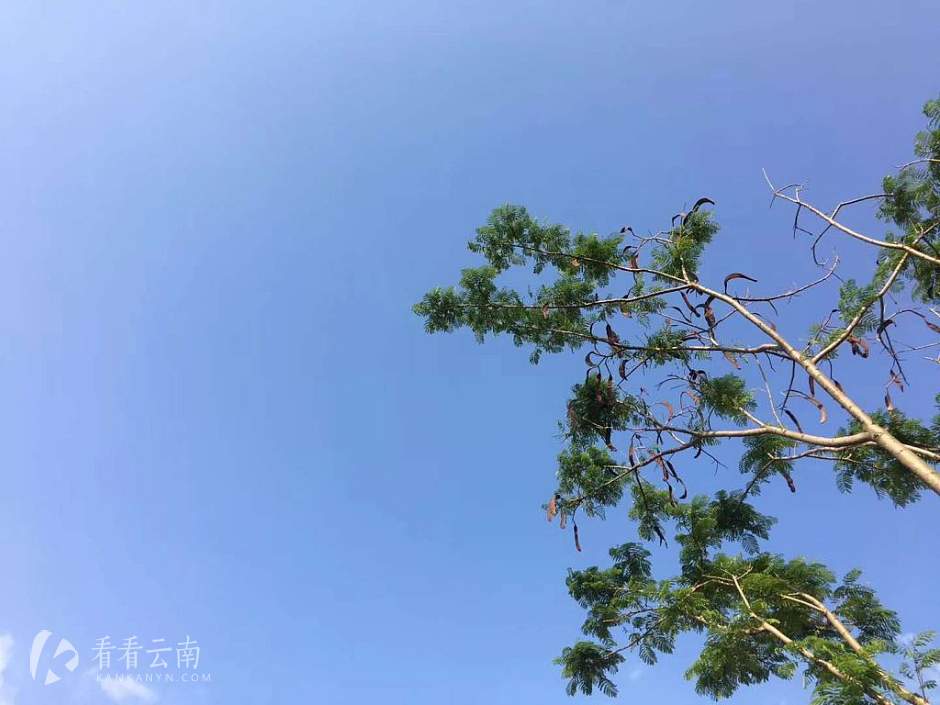 今日云南 | 蒙自滇南绿洲生态园