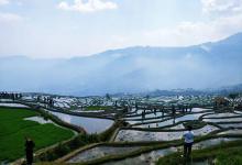 今日云南 | 红河撒马坝梯田-看看云南