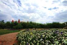 今日云南 | 嵩明嘉丽泽-看看云南