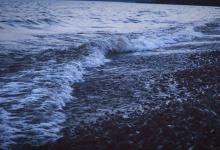 今日云南 | 玉溪抚仙湖-看看云南