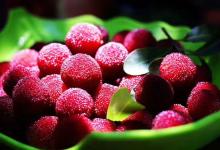 今日云南|富明杨梅-看看云南