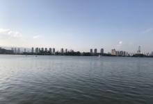 今日云南 | 昆明草海-看看云南