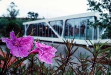 今日云南 | 昆明海埂悦府-看看云南