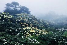 今日云南 | 大理苍山西坡-看看云南