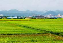 今日云南|远山的呼唤-看看云南