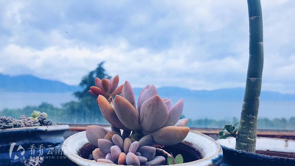 今日云南|抚仙湖