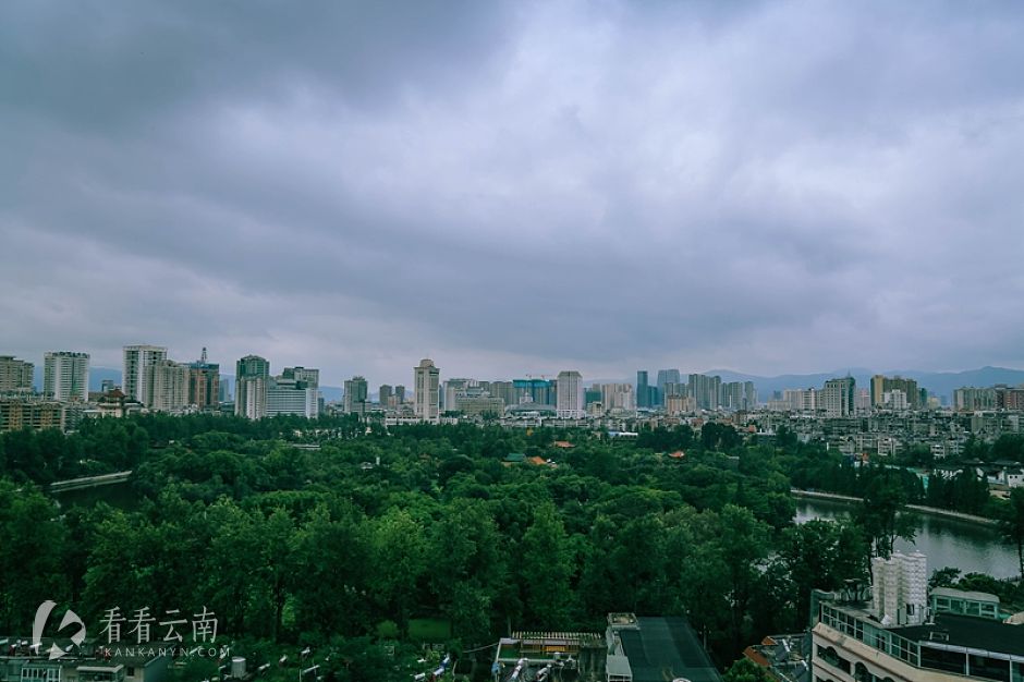 今日云南 | 翠湖晨景
