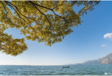 世界都想住在春天的海边-看看云南