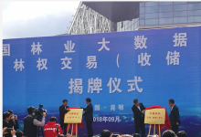 中国林业大数据和林权交易（收储）中心落户云南-看看云南