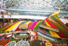 昆明一日游攻略：繁花似景与法式风情并存的城市-看看云南