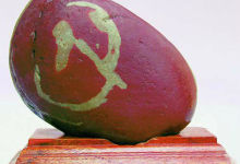 珍惜最后的捡石时光，云南金沙江边的奇石即将永远消失-看看云南