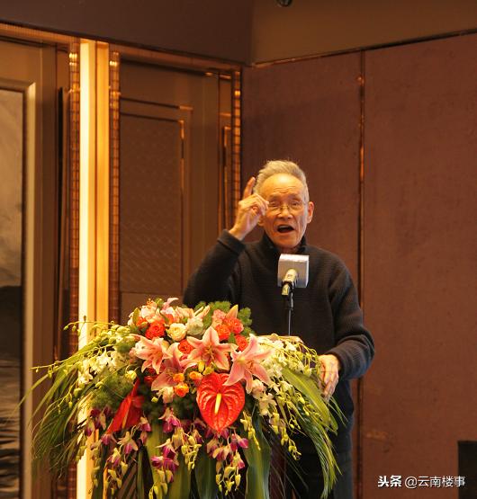 顾奇伟：昆明东白沙河建设，应健康、智慧和善良兼具-看看云南