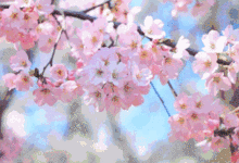 立冬？那就让七彩的昆明给你点颜色看看-看看云南