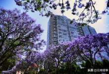 在昆明，生活还能有这般味道-看看云南