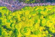 云南油菜花观赏最佳地点推荐！让你看见地球上最美的春天！-看看云南