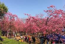 增三倍！昆明3月，新房供应量81万㎡，环比增322%！4新盘首入市-看看云南