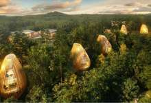 解锁昆明85/90后新居住范本：城里只有工作，住在森林里才是生活-看看云南