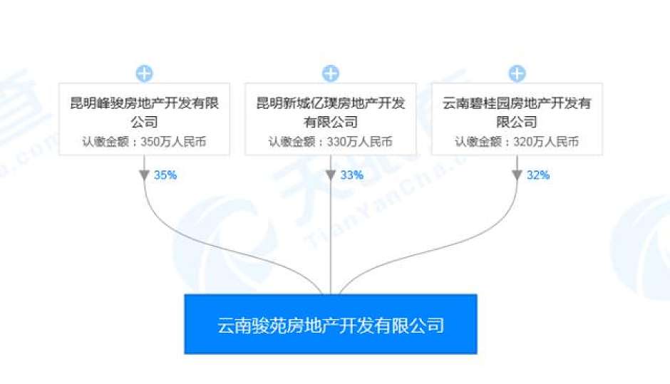 云南骏苑房地产开发有限公司股权关系图