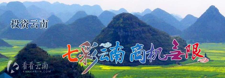 引外资促增长云南落实锤！在滇新设境外金融分支机构，重奖500万