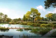 草海，从此就是一片高级的海-看看云南