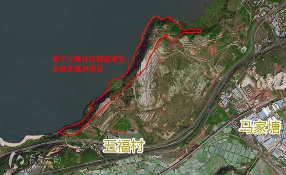 晋宁大湾区湖滨生态修复带位置（红线范围内）