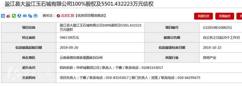 公告信息