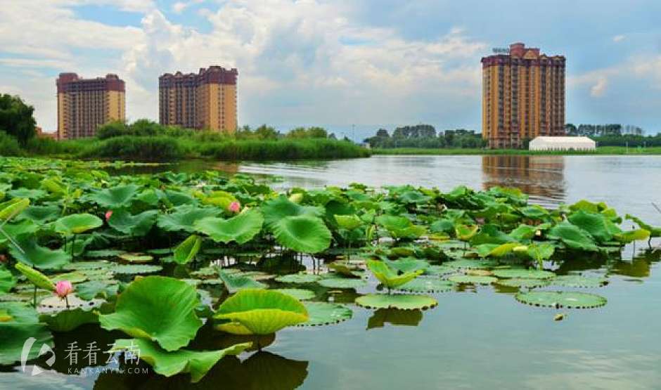 昆明嘉丽泽恒大养生谷小高层实景图