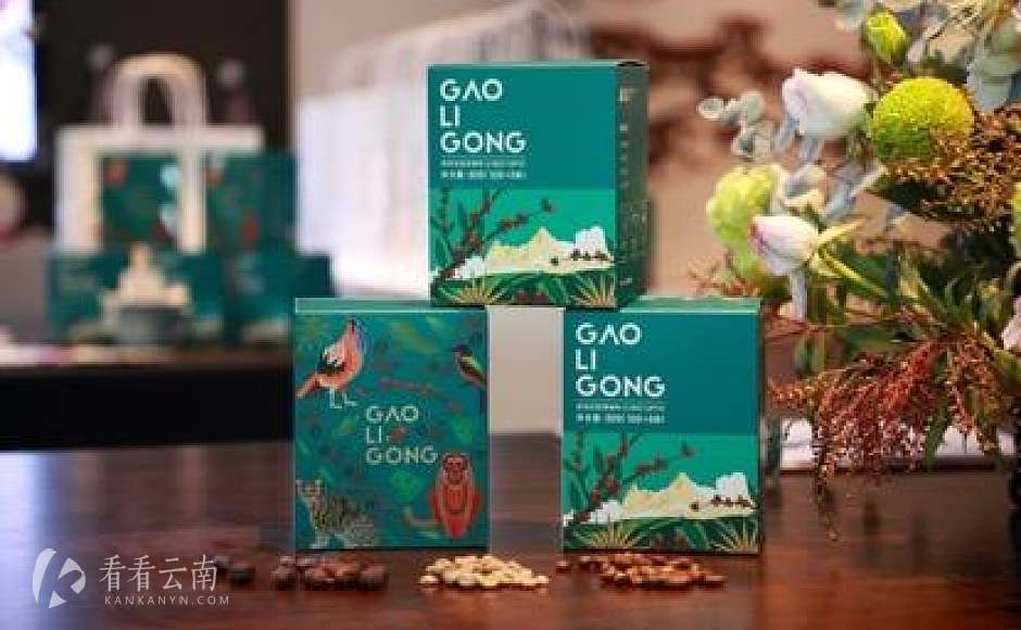 栖云会高黎贡精品咖啡正式上线，云南雅居乐文创产品首发
