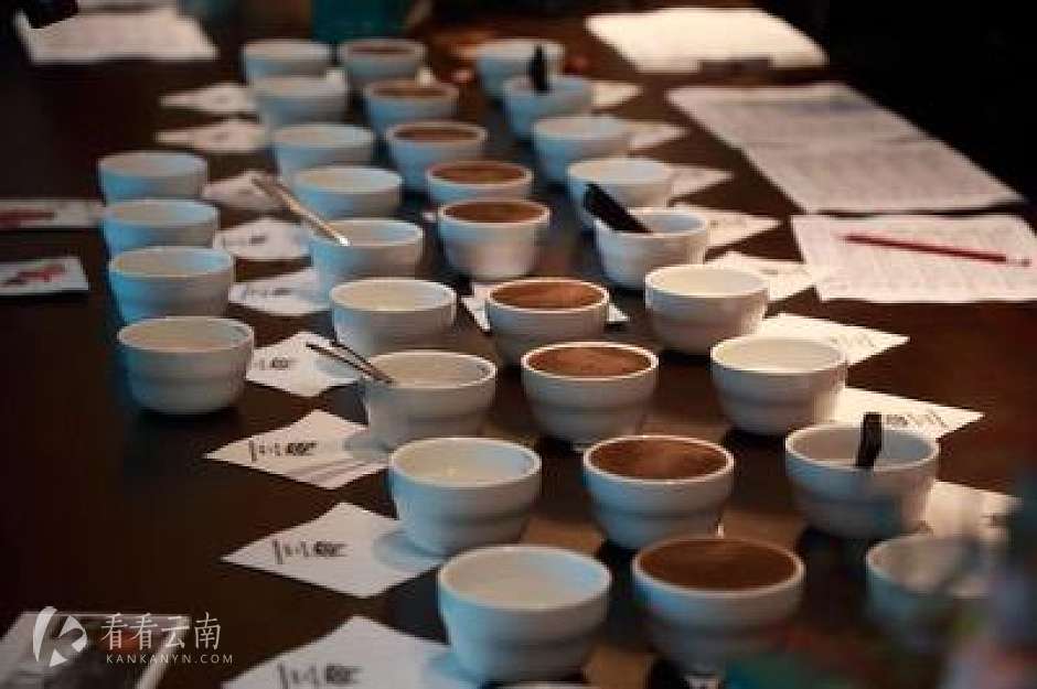 栖云会高黎贡精品咖啡正式上线，云南雅居乐文创产品首发