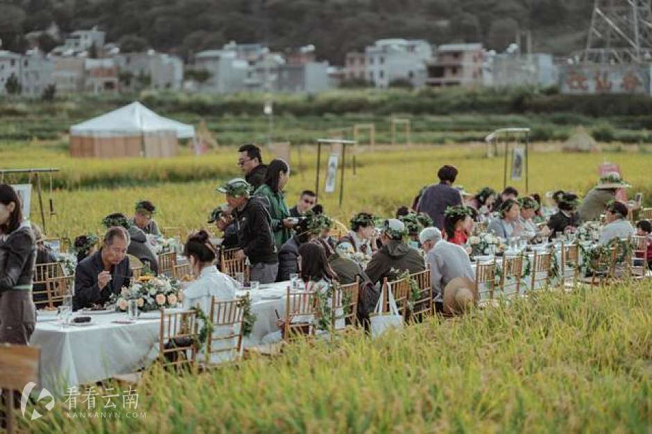 抚仙湖四季风物节活动实拍图