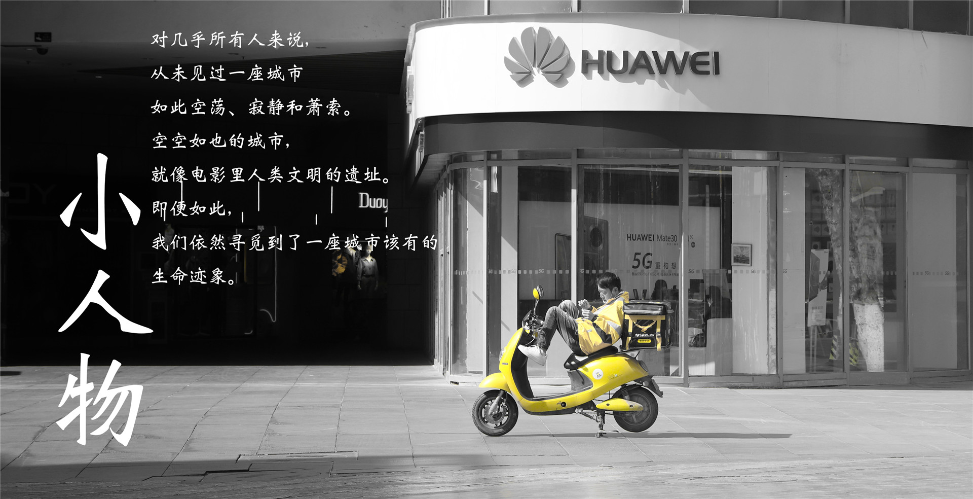 “空城”昆明，没有他们“游荡”街头才是真的可怕-看看云南