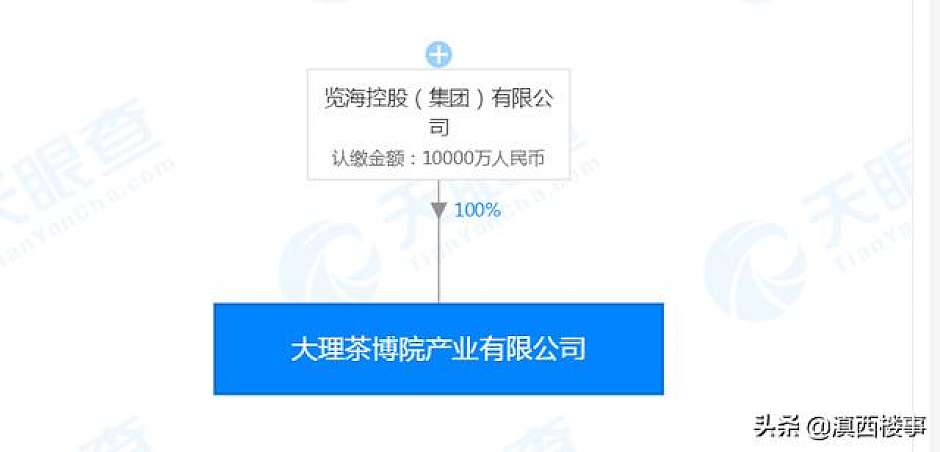 大理茶博院产业有限公司股权关系（天眼查）